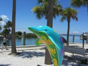 Florida, dolphin